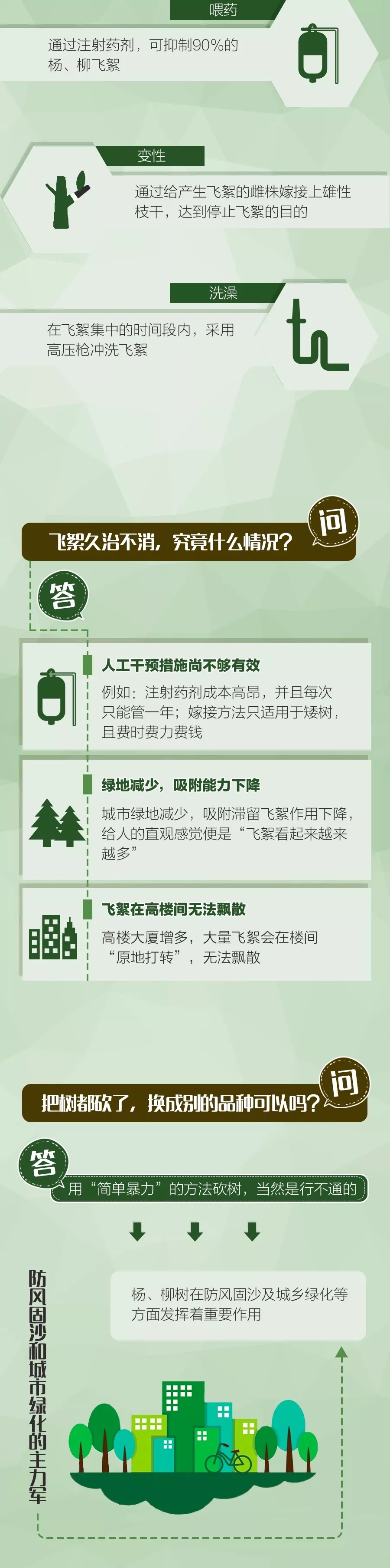 毛?毛?毛?毛?毛?……杨、柳絮年年治，为何效果不显著？