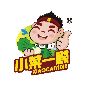 河北小菜一碟网络科技有限公司河北华发教育科技股份有限公司河北志晟